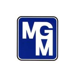 M.G.M. Motori Elettrici