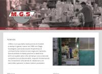 M.G.S. SAS DI GUADAGNIN DIEGO