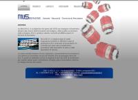 M.V.S. SRL