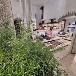 Macchi Teresa Di Pigni G. e C. (S.n.c.)