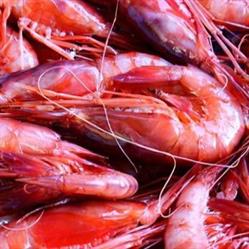 Pescheria di Macchia Luigi