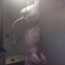 Macelleria Galli Franco Dei F.lli Galli SNC