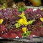 Piatti a Base di Carne
