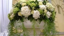 Magic Fleurs Di Aletta Anna