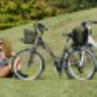 Biciclette Elettriche
