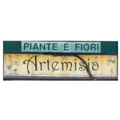 Artemisia