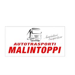 Malintoppi Sergio