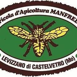 Manfredini Paolo
