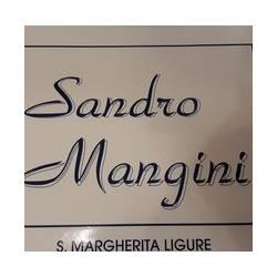 Mangini Alessandro Calzature e Pelletteria