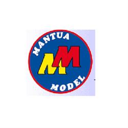 Mantua Model
