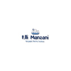 I.T.S. F.lli Manzani
