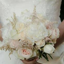 Manzone Rosa