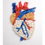 Cura del Cuore