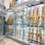 Gallery Professionale
