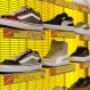 Gallery Professionale