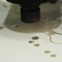 Incisioni Laser Mareco Plastic