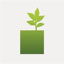 Margotta Consulting
