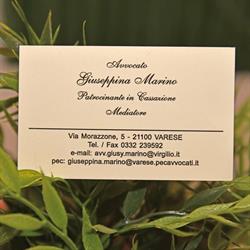 Avvocato Marino Giuseppina