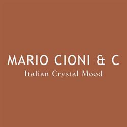 Mario Cioni & C. S.n.c.