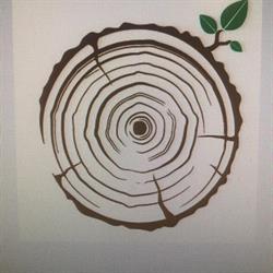 Market Legno