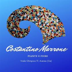 Marrone Costantino