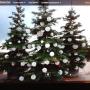 Caricato da visitatore il 16/12/2017 - allestimenti di alberi di natale e scenografie di natale con magie di luce nel villaggio degli angeli