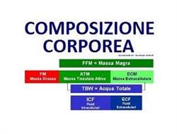 Mascaretti SRL