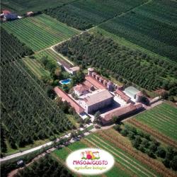 Maso Del Gusto