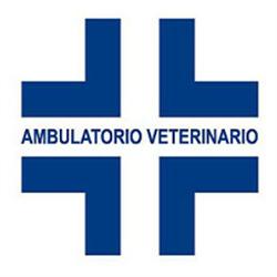 Masotti Dott. Angelo - Veterinario
