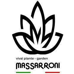 Vivai Massarroni