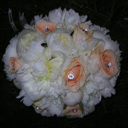 Mastino Vittoria