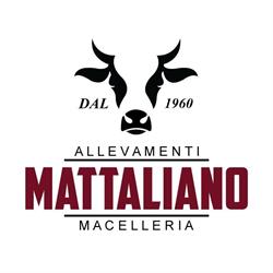 Mattaliano Stefano