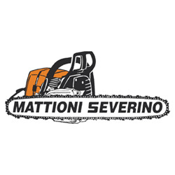 Mattioni Severino Motoseghe