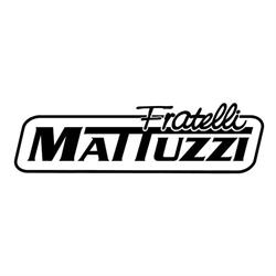 Mattuzzi Mario