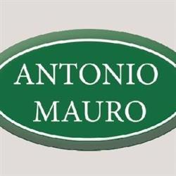 Mauro Antonio