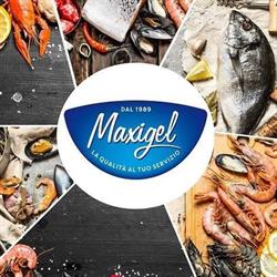 Maxigel srl
