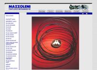 Mazzoleni SRL