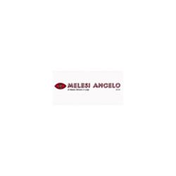 Melesi Angelo Snc di Melesi Silvano & C