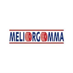 Meliorgomma
