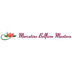 Mercatino Usato Accorsi Rosa Belfiore