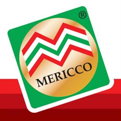 Mericco S.p.a.