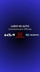 Mi-Auto (Srl)