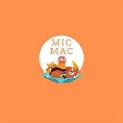 MIC-MAC