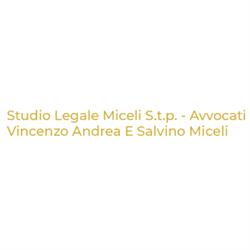 Studio Legale Miceli - Avv. Andrea Miceli - Avv. Salvino Miceli