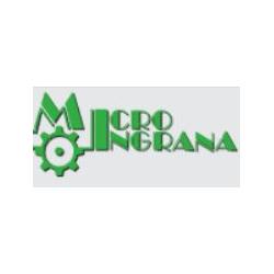 Micro Ingrana
