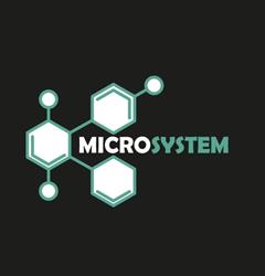 Microsystem SRL
