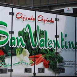 Azienda Agricola San Valentino di Migliaro Aniello