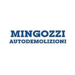 Mingozzi Autodemolizioni