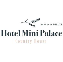 Mini Palace