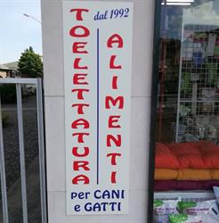 Mini Zoo - Pet shop - toelettatura Canavese.